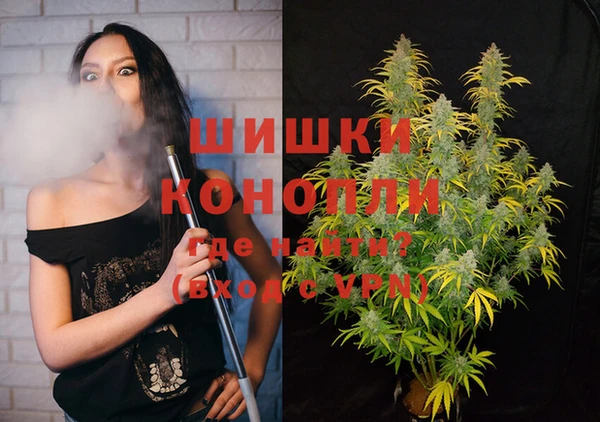 винт Ельня