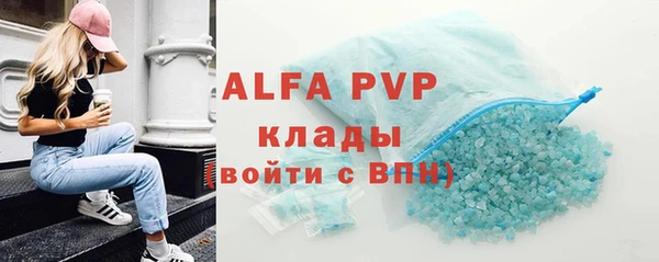винт Ельня