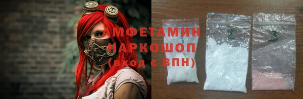 винт Ельня