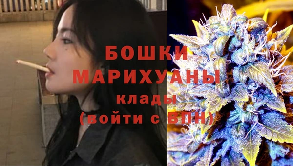 винт Ельня