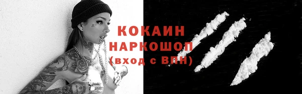 винт Ельня