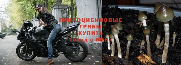 метамфетамин Елизово