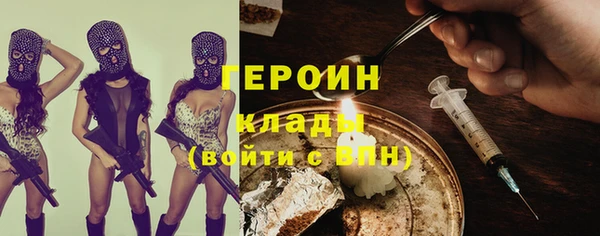 винт Ельня