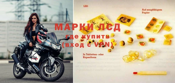 винт Ельня