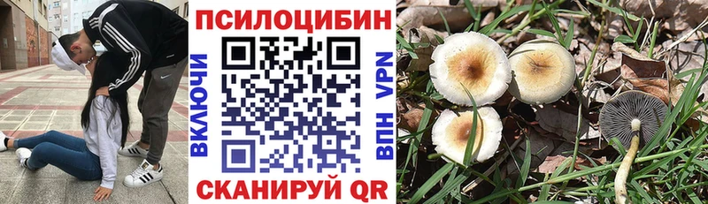 Галлюциногенные грибы Psilocybe  Туапсе 